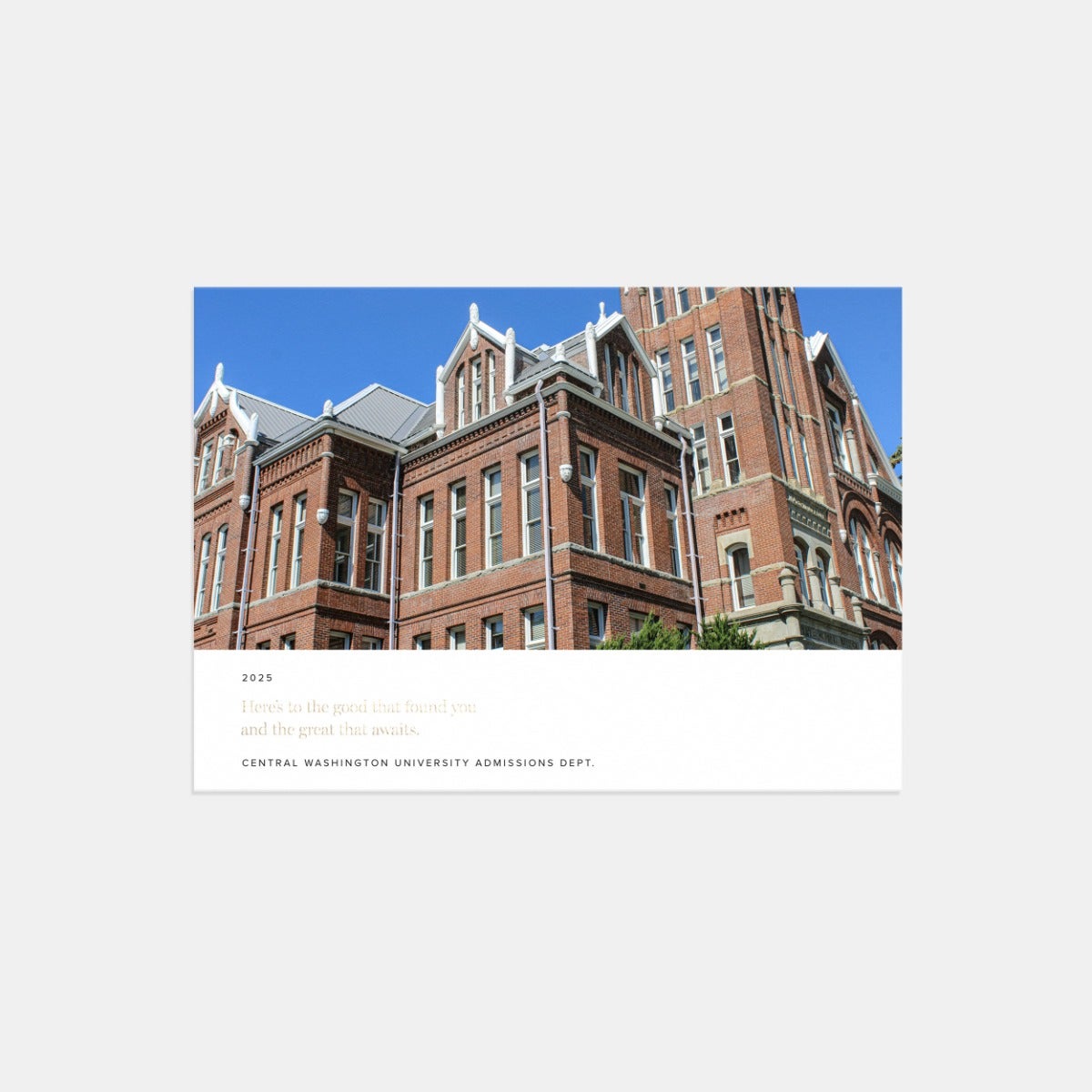 Here's to the Good Business New Year Card by Artifact Uprising | Cards