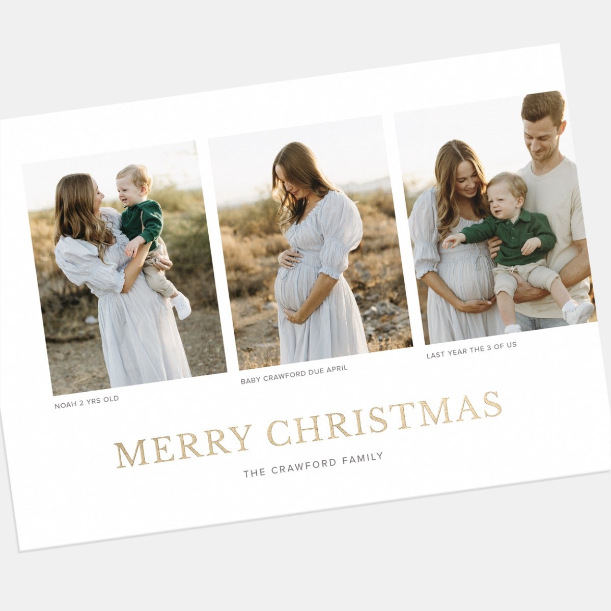 Photo Captions Holiday Card