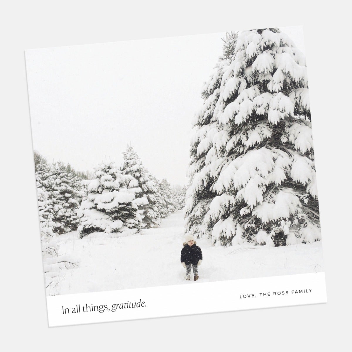 Square Gratitude Holiday Card
