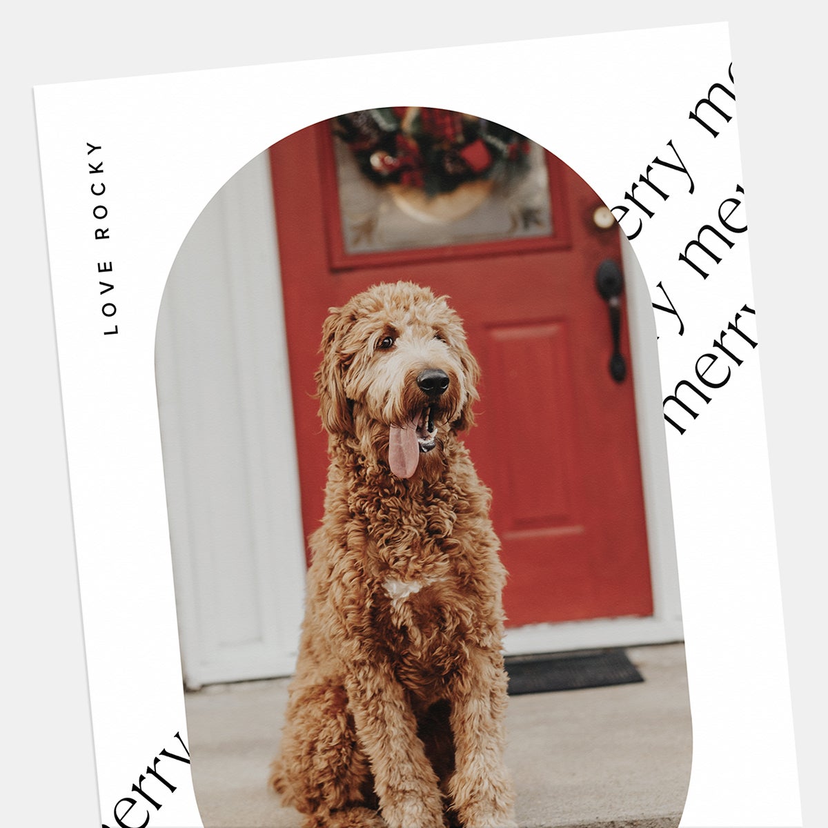 Merry Merry Holiday Card