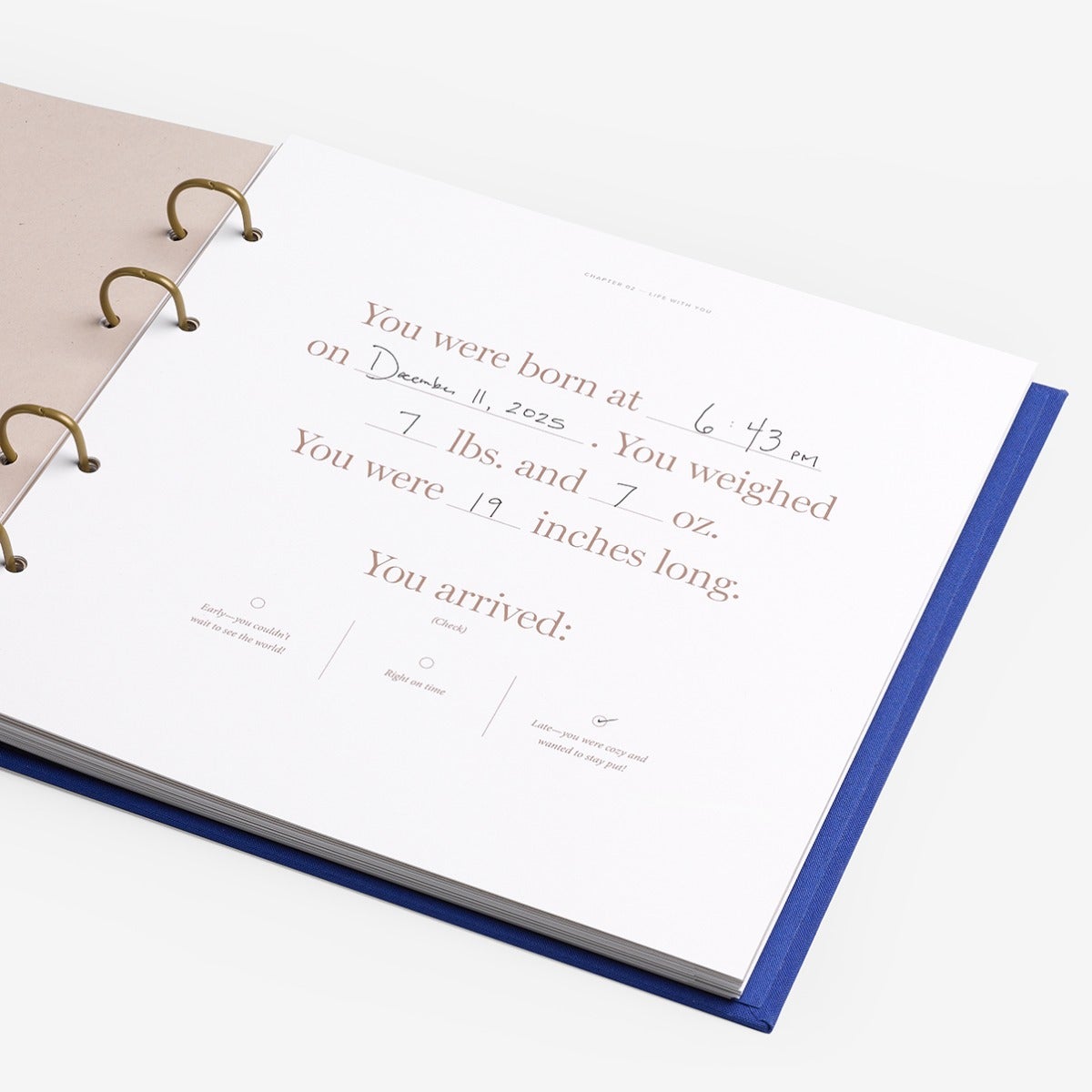 Baby Book | The Story of You