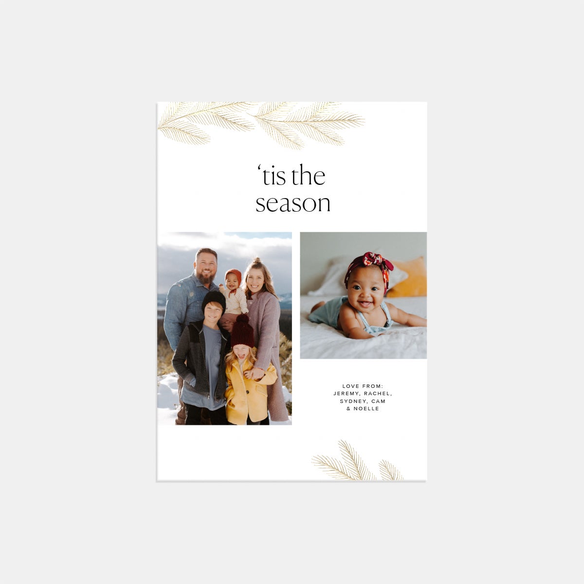 Bough Duo Holiday Card