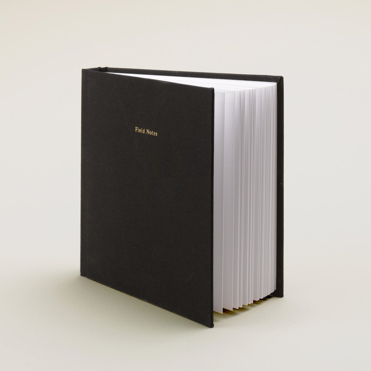Everyday Photo Book
