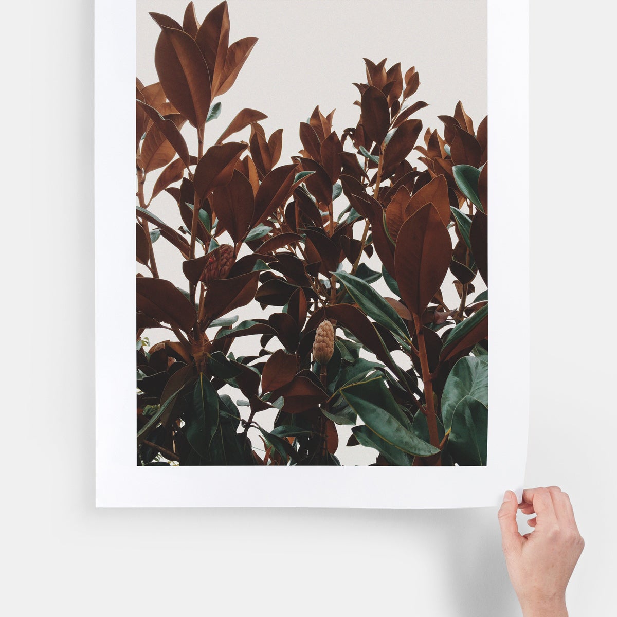 Art print - Artwork