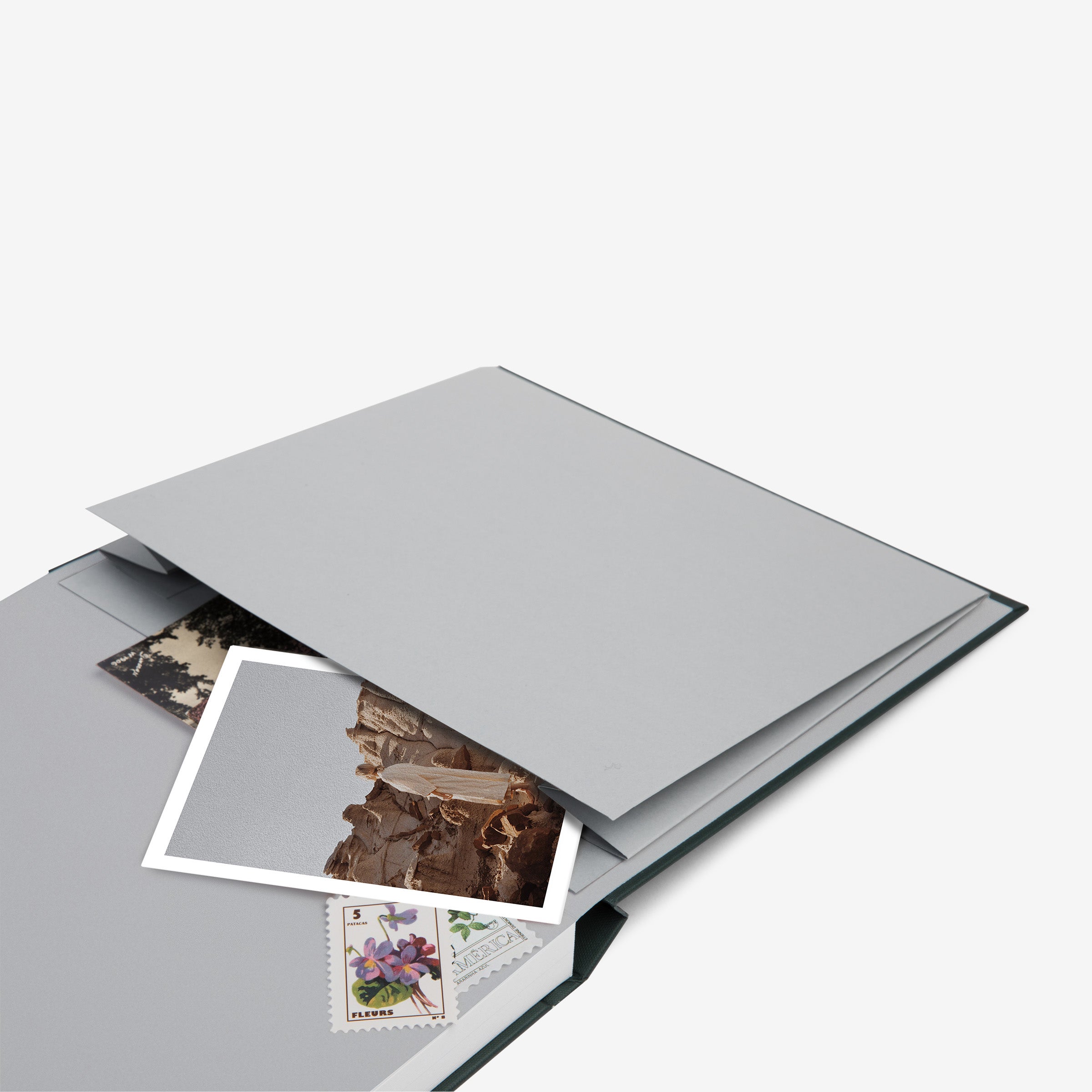 Softcover Photo Book, 100% Recycled Interior, Artifact Uprising in 2023