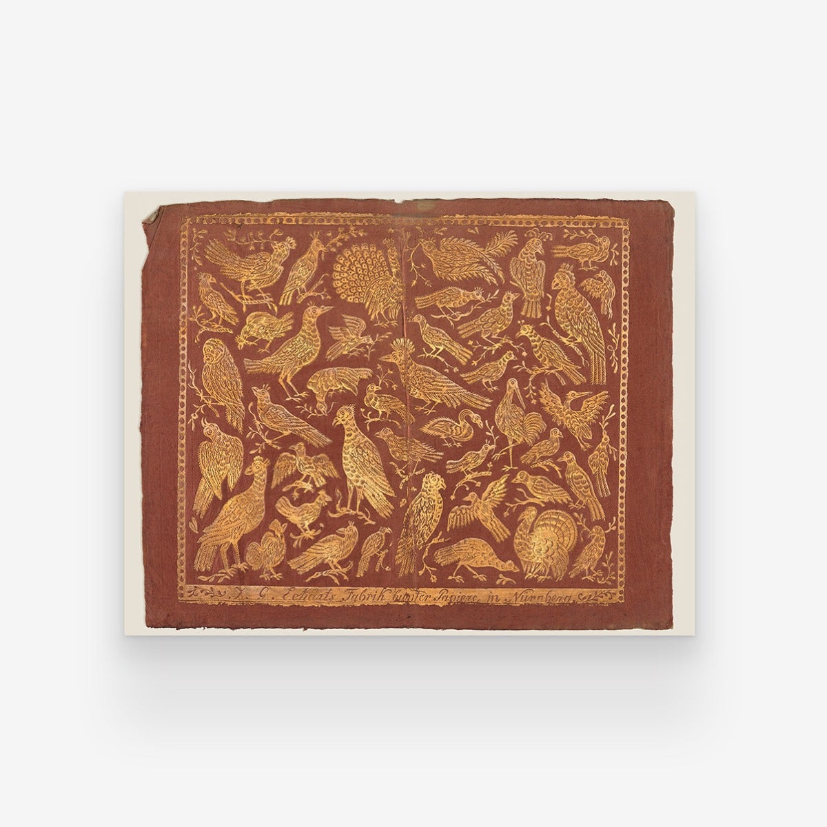 Birds on Red Art Print by Artifact Uprising | Prints