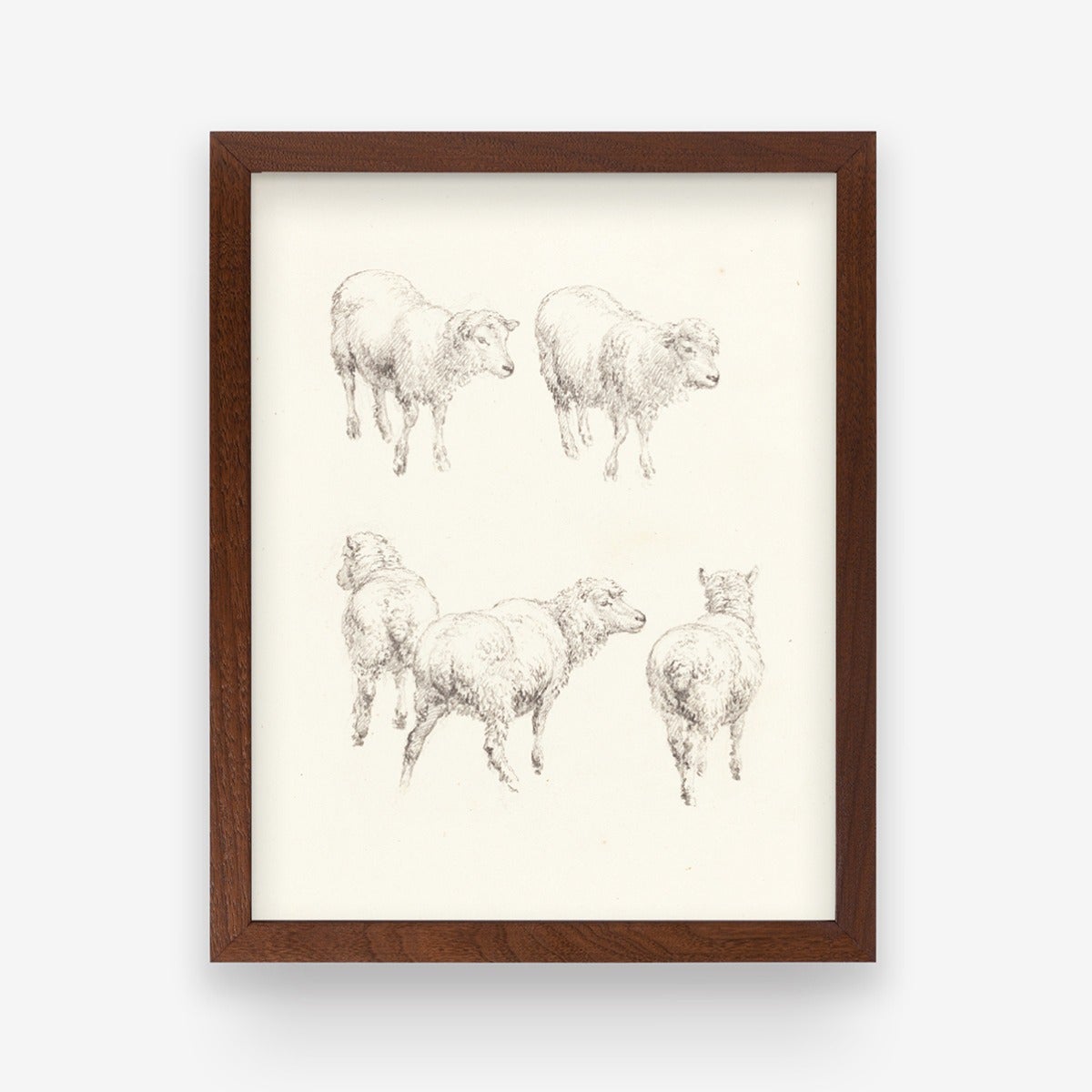 Five Sheep Art Print by Artifact Uprising | Prints