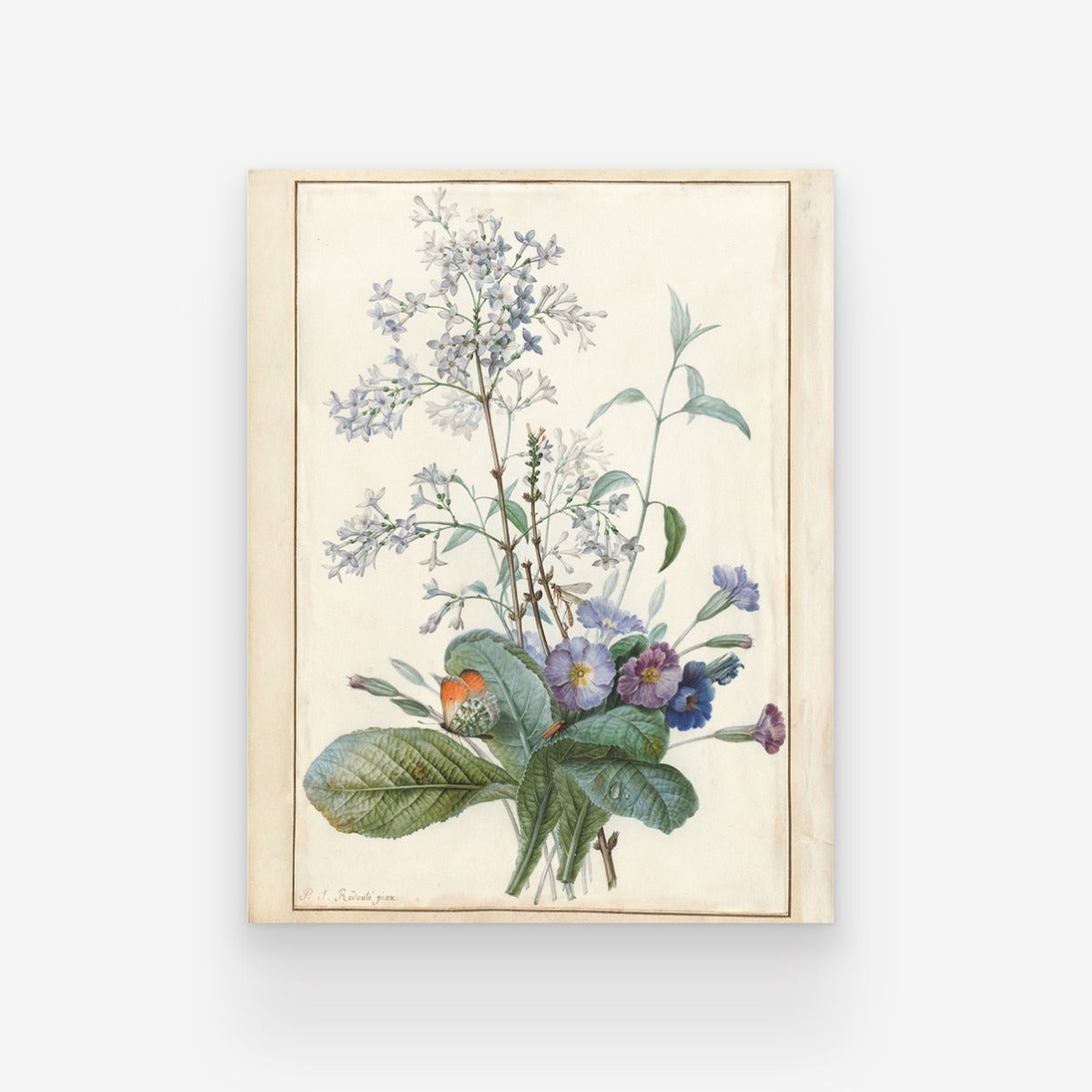 From the Garden Art Print by Artifact Uprising | Prints