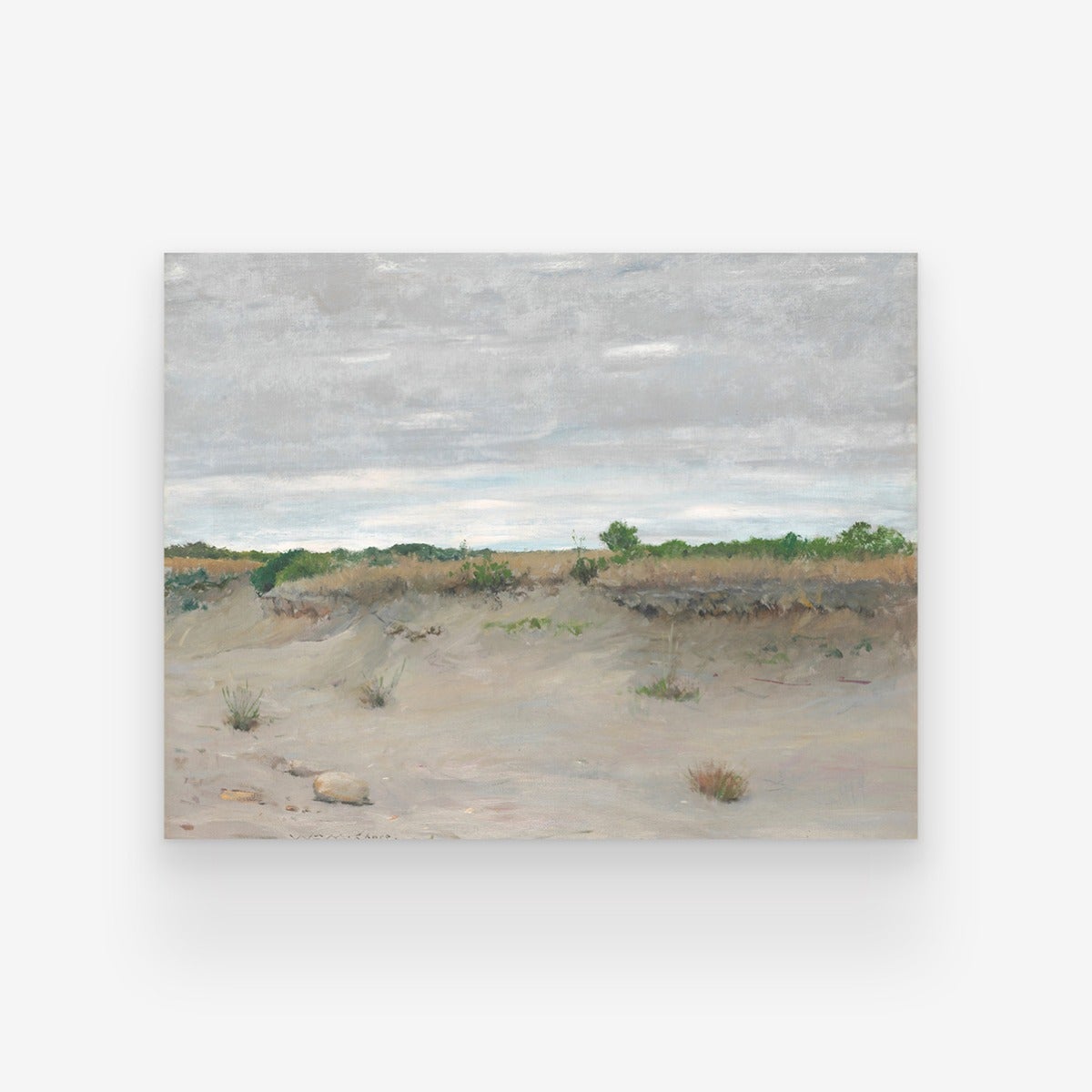 Wind-Swept Sands Art Print by Artifact Uprising | Prints