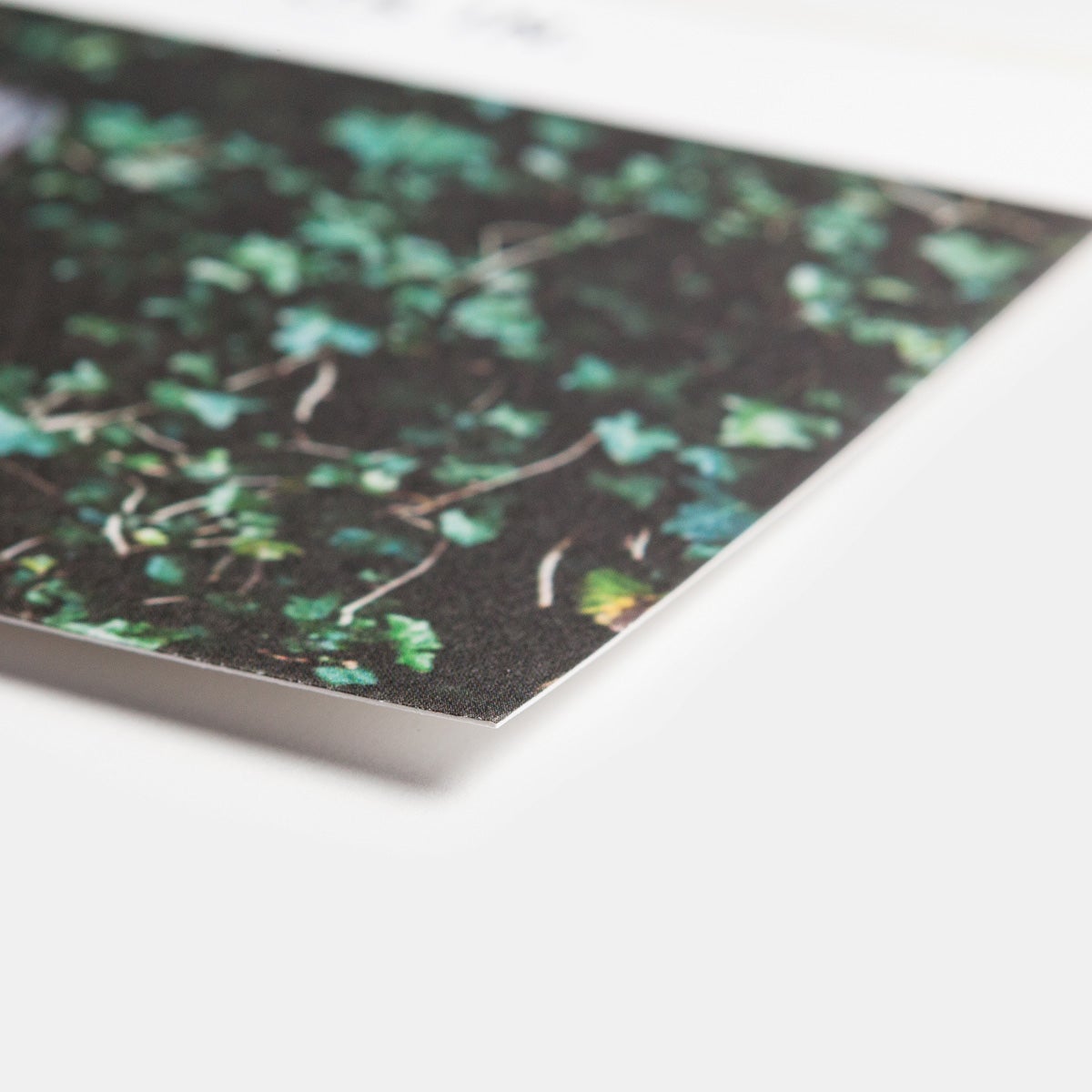 Pencil Us In Save The Date