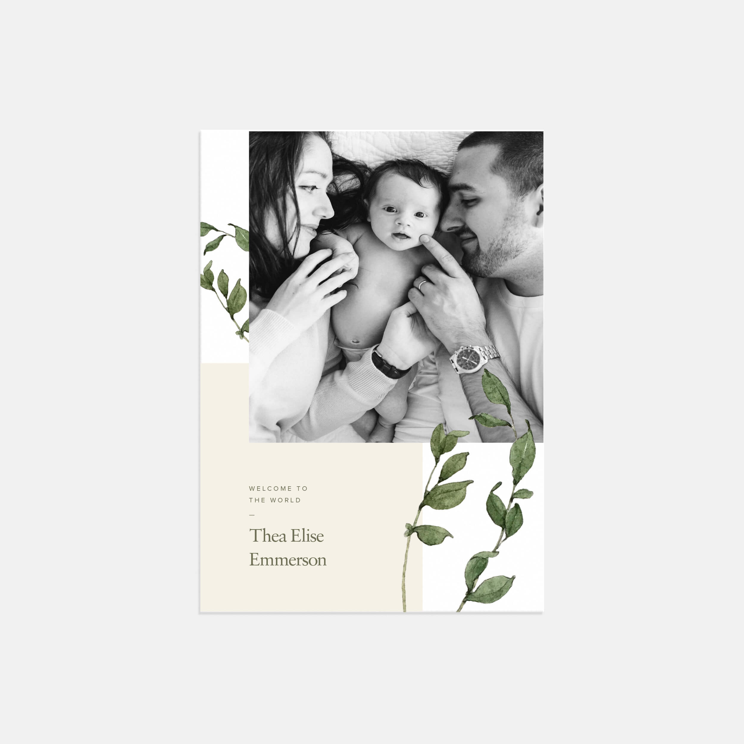 Simple Greenery Baby Announcement by Artifact Uprising | Cards