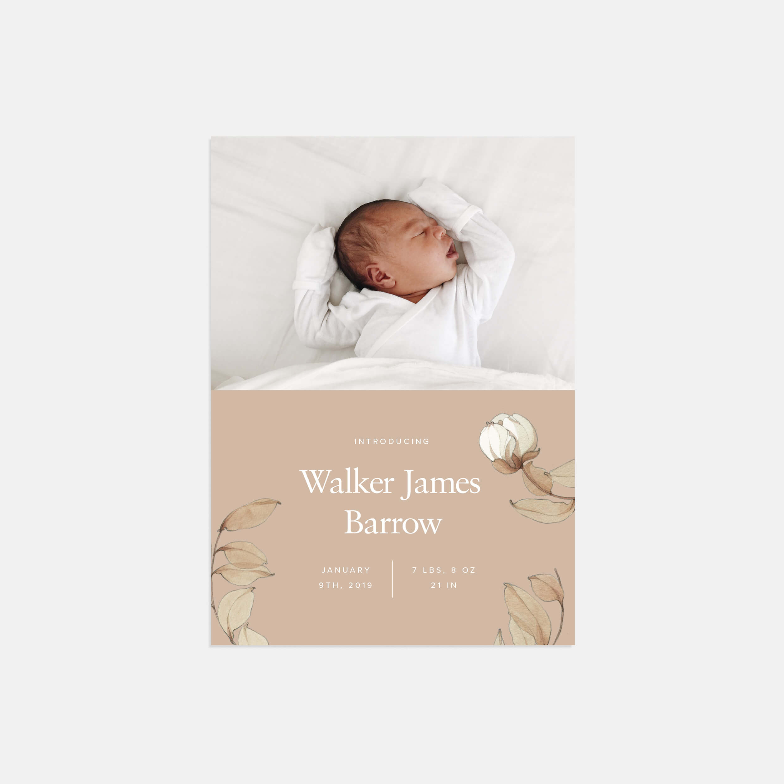 Taupe Botanical Baby Announcement by Artifact Uprising | Cards