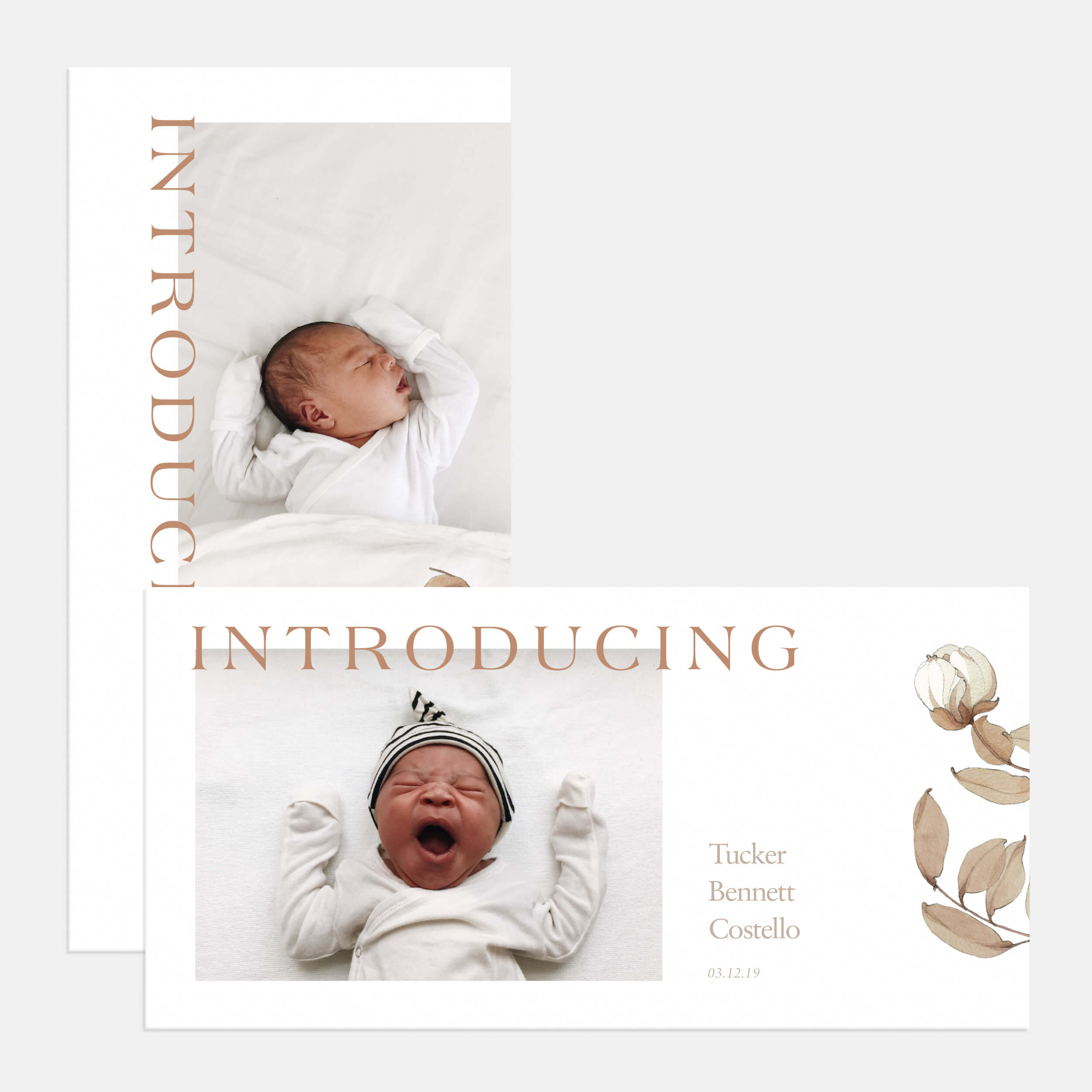Timeless Introduction Birth Announcement